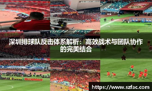 bsports必一运动体育