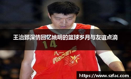 bsports必一运动体育