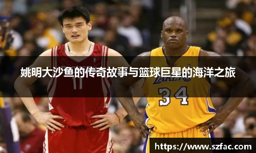 bsports必一运动体育